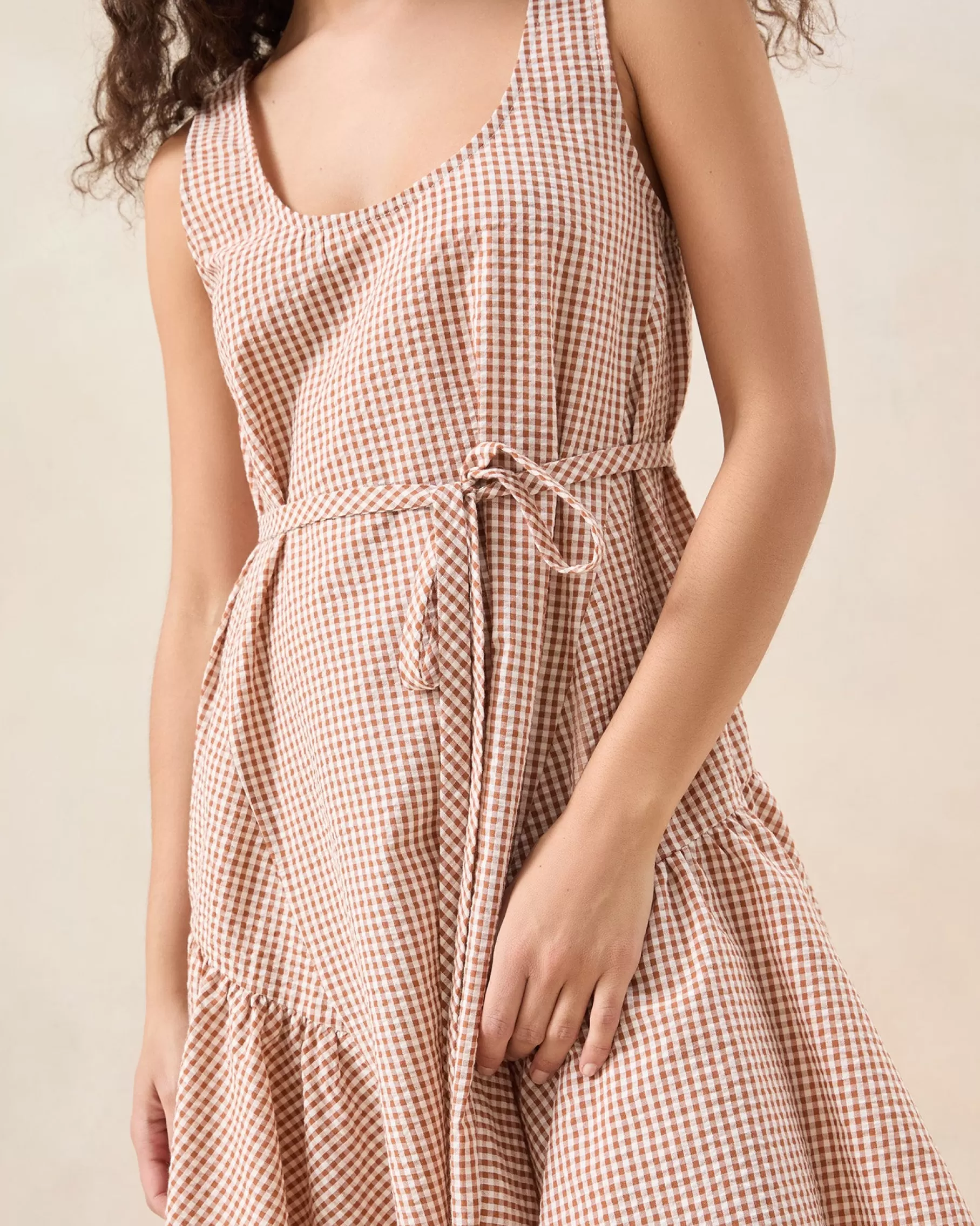 New Avi Brown Gingham Swing Dress Dresses